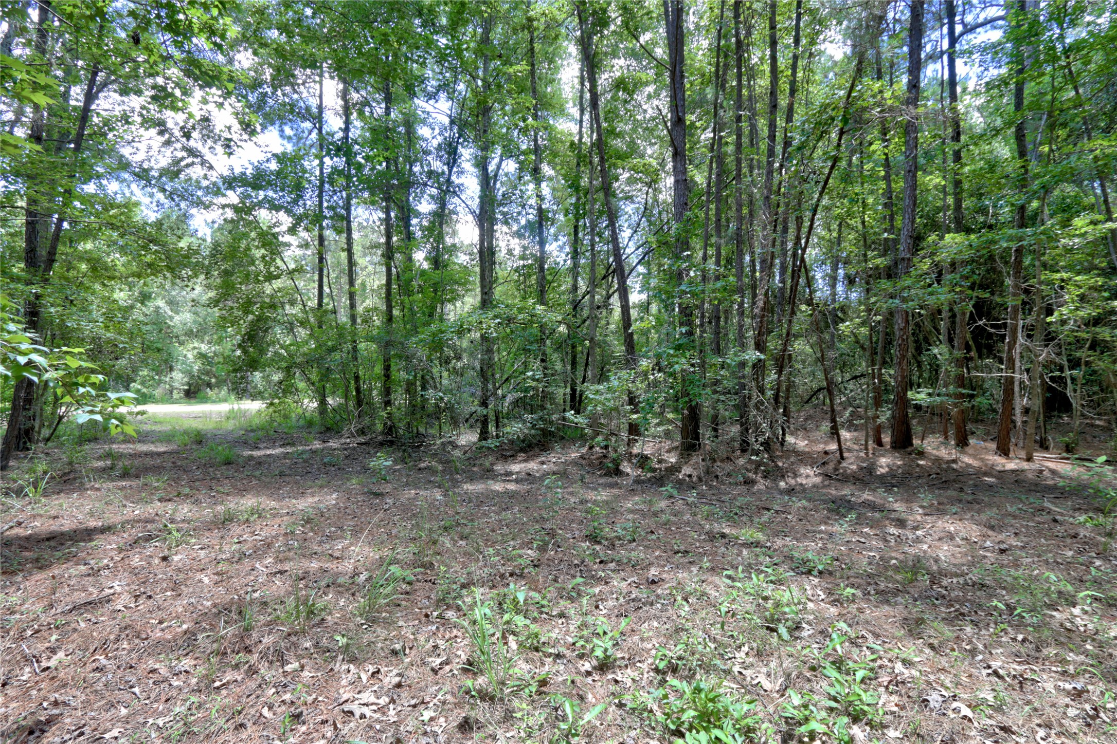 258 Heartland Road Property Photo 17