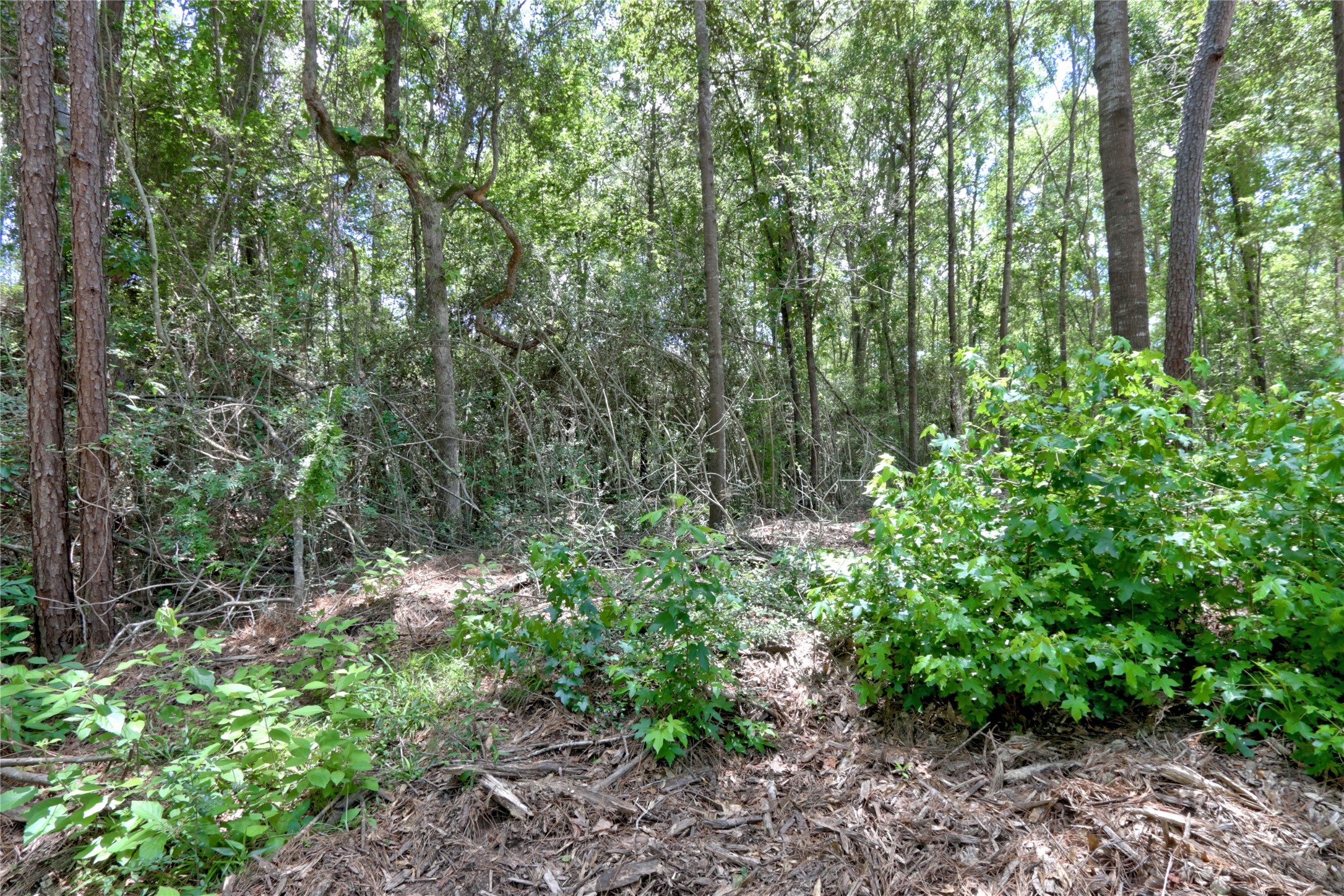 258 Heartland Road Property Photo 18