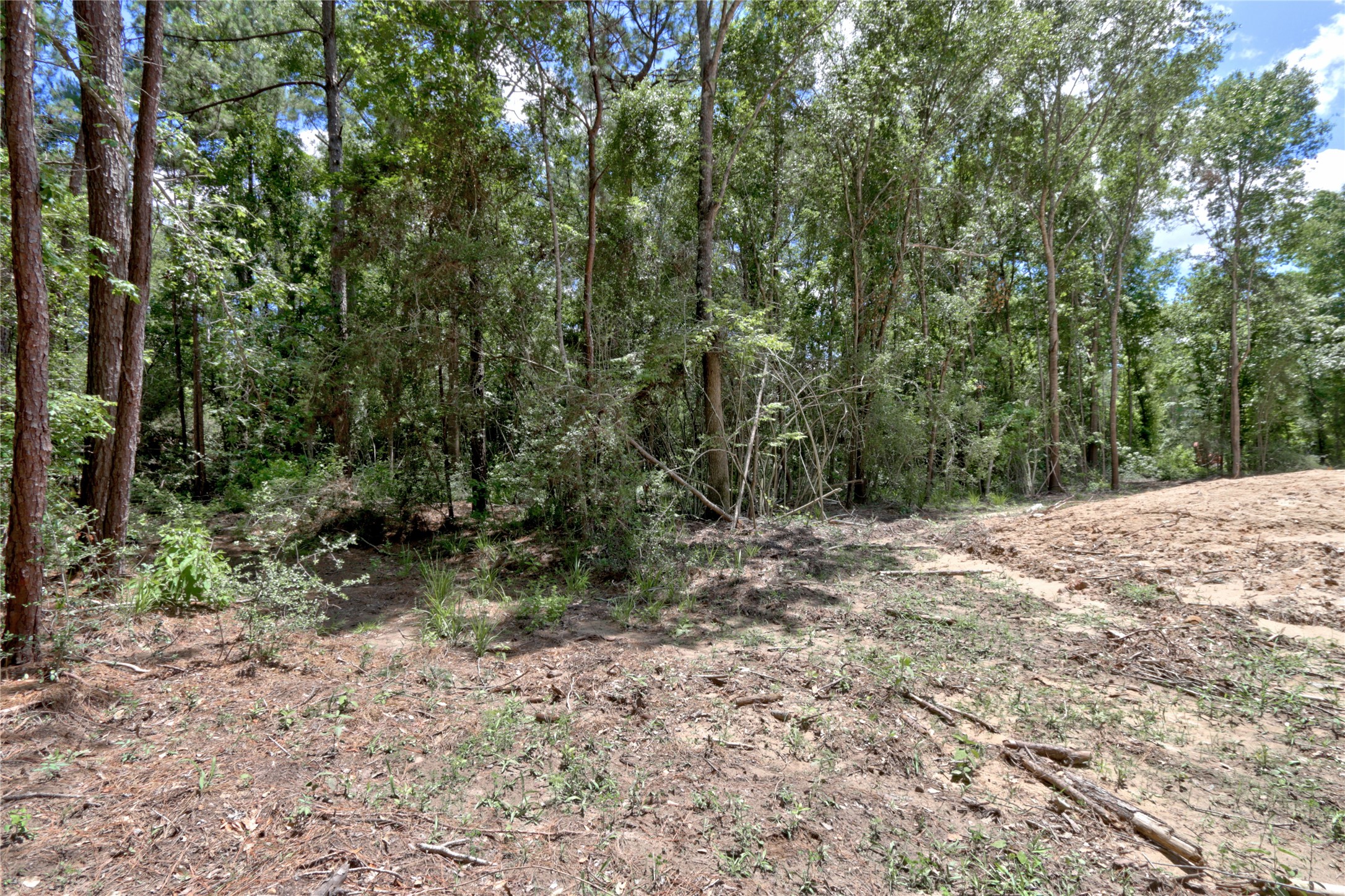 258 Heartland Road Property Photo 19
