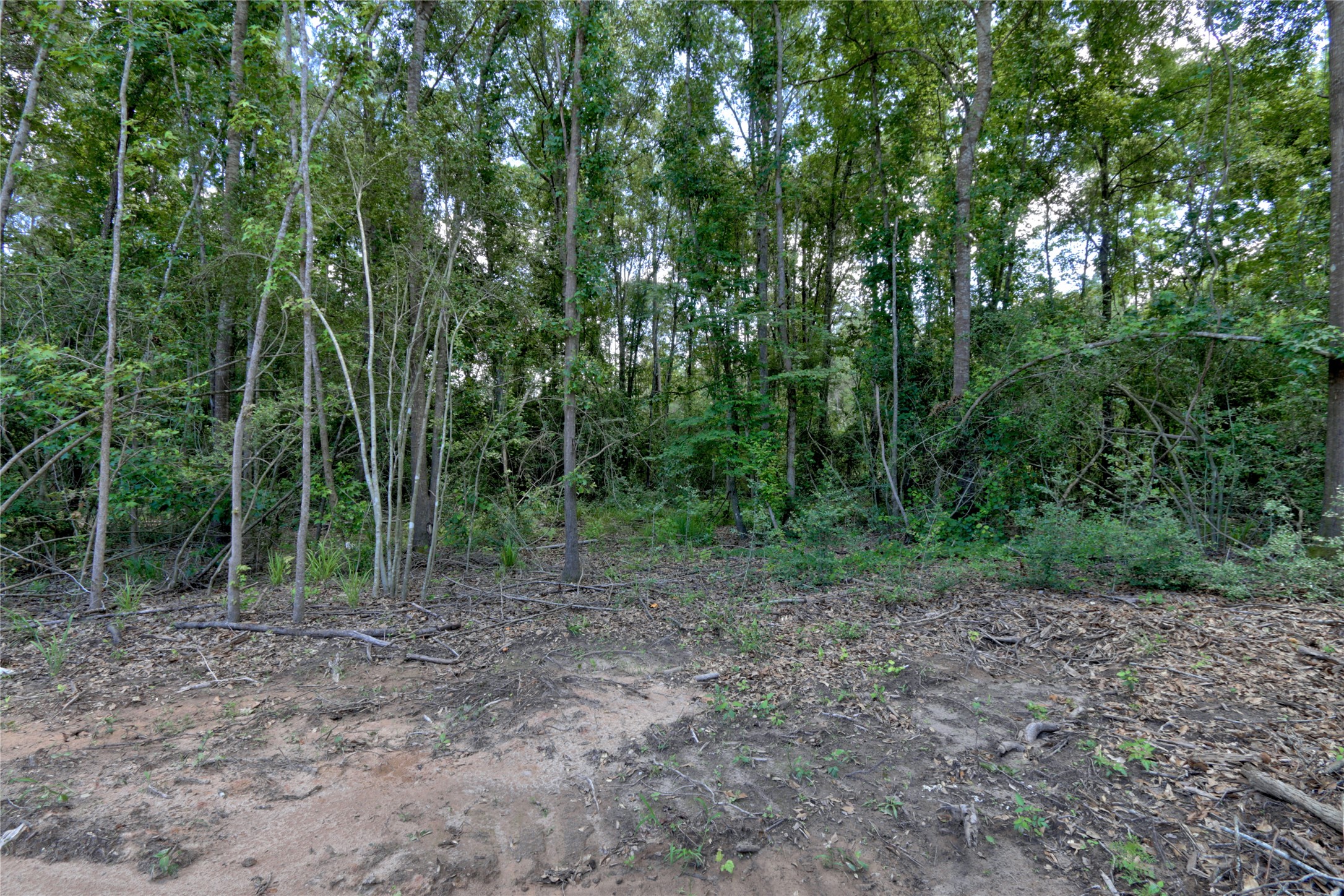 258 Heartland Road Property Photo 20