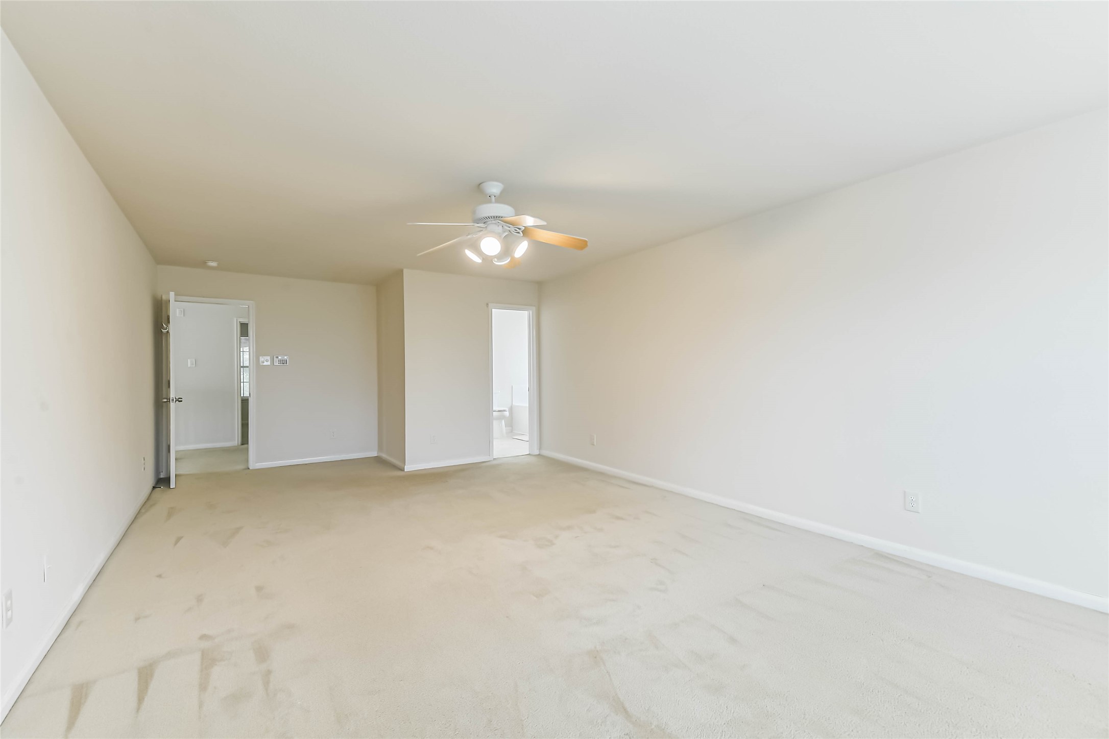 4011 Brighton Springs Lane Property Photo 24