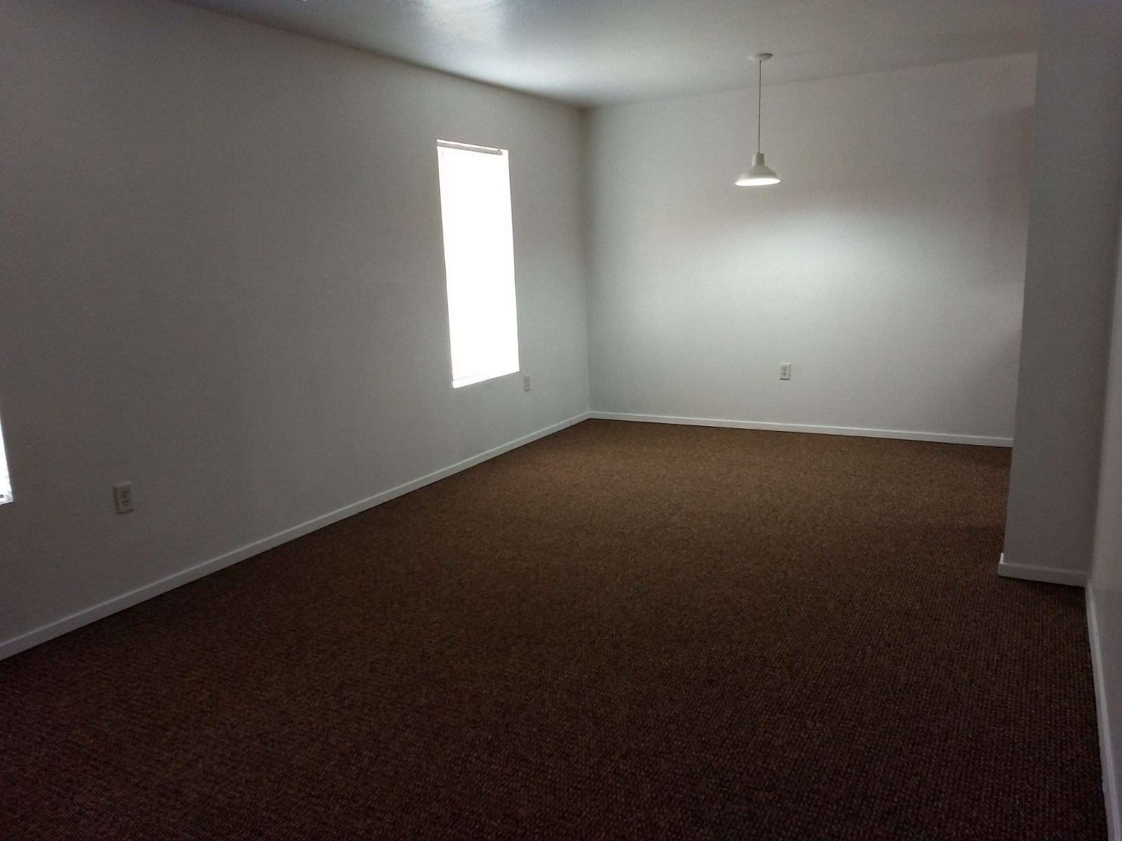 1206 Saint Michael Court Property Photo 13