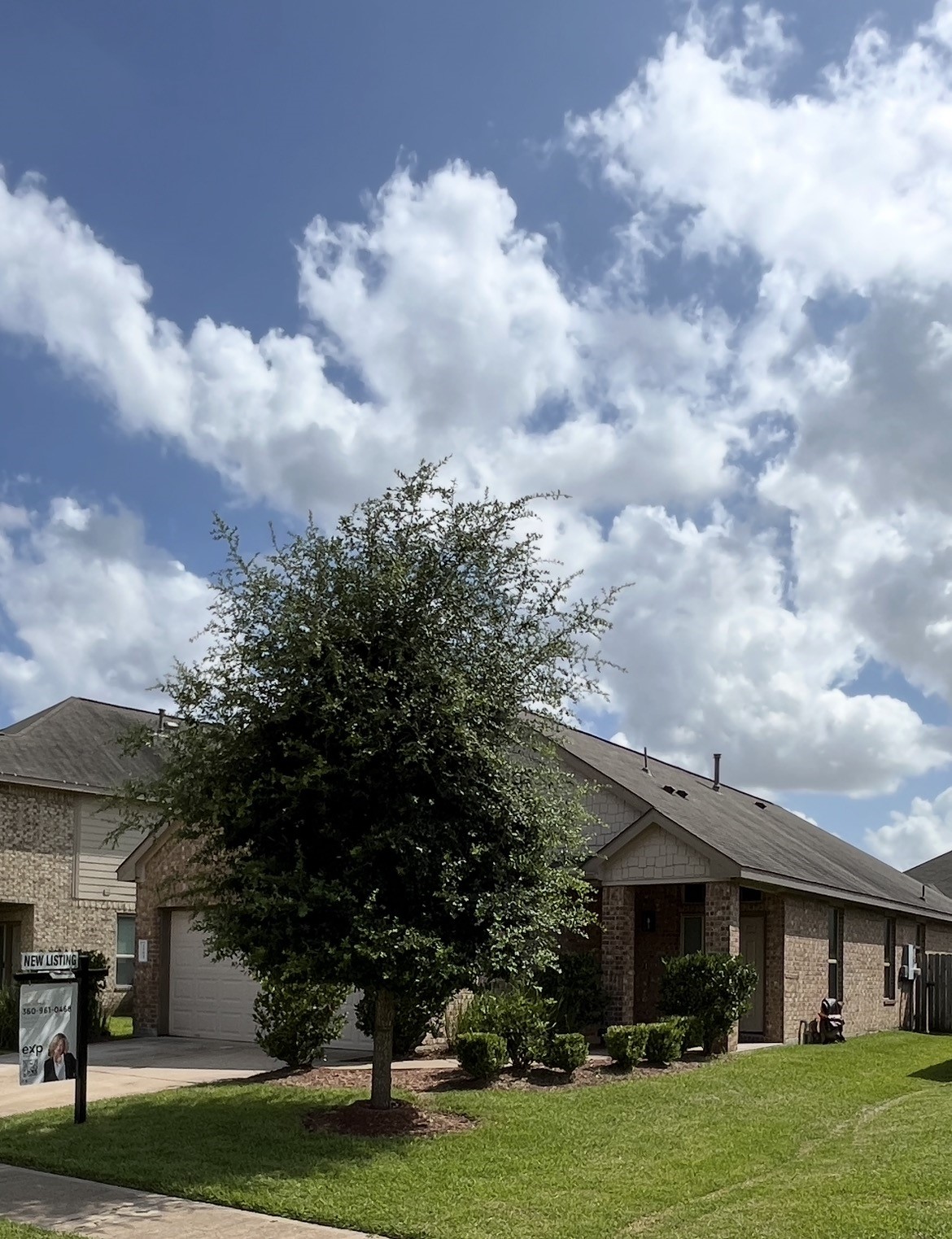 3555 Paganini Place Property Photo 6