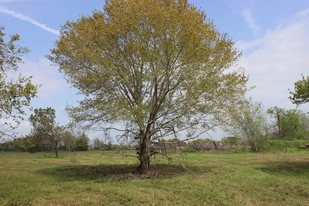852 Cr 303 Green Avenue, Palacios Tx 77465 Property Photo 1
