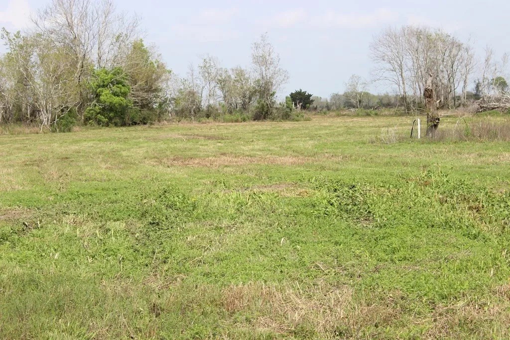 852 Cr 303 Green Avenue Property Photo 3