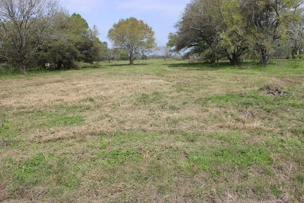 852 Cr 303 Green Avenue Property Photo 5