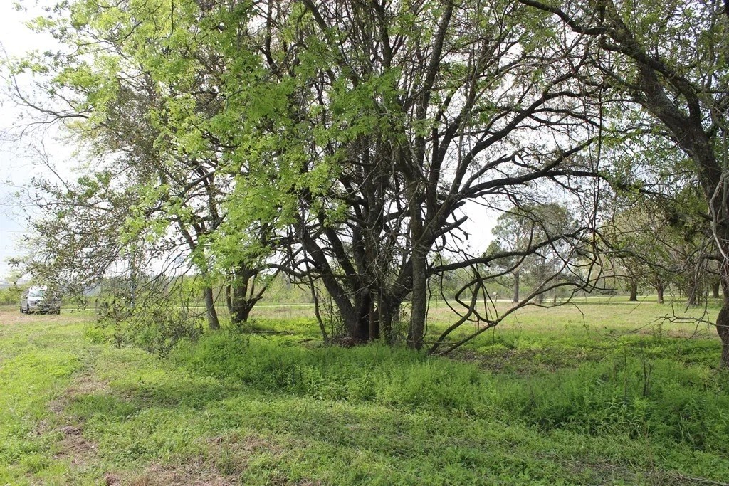 852 Cr 303 Green Avenue Property Photo 7