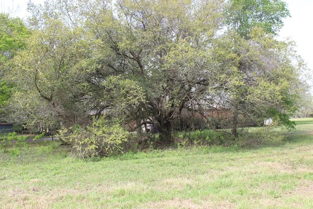 852 Cr 303 Green Avenue Property Photo 9