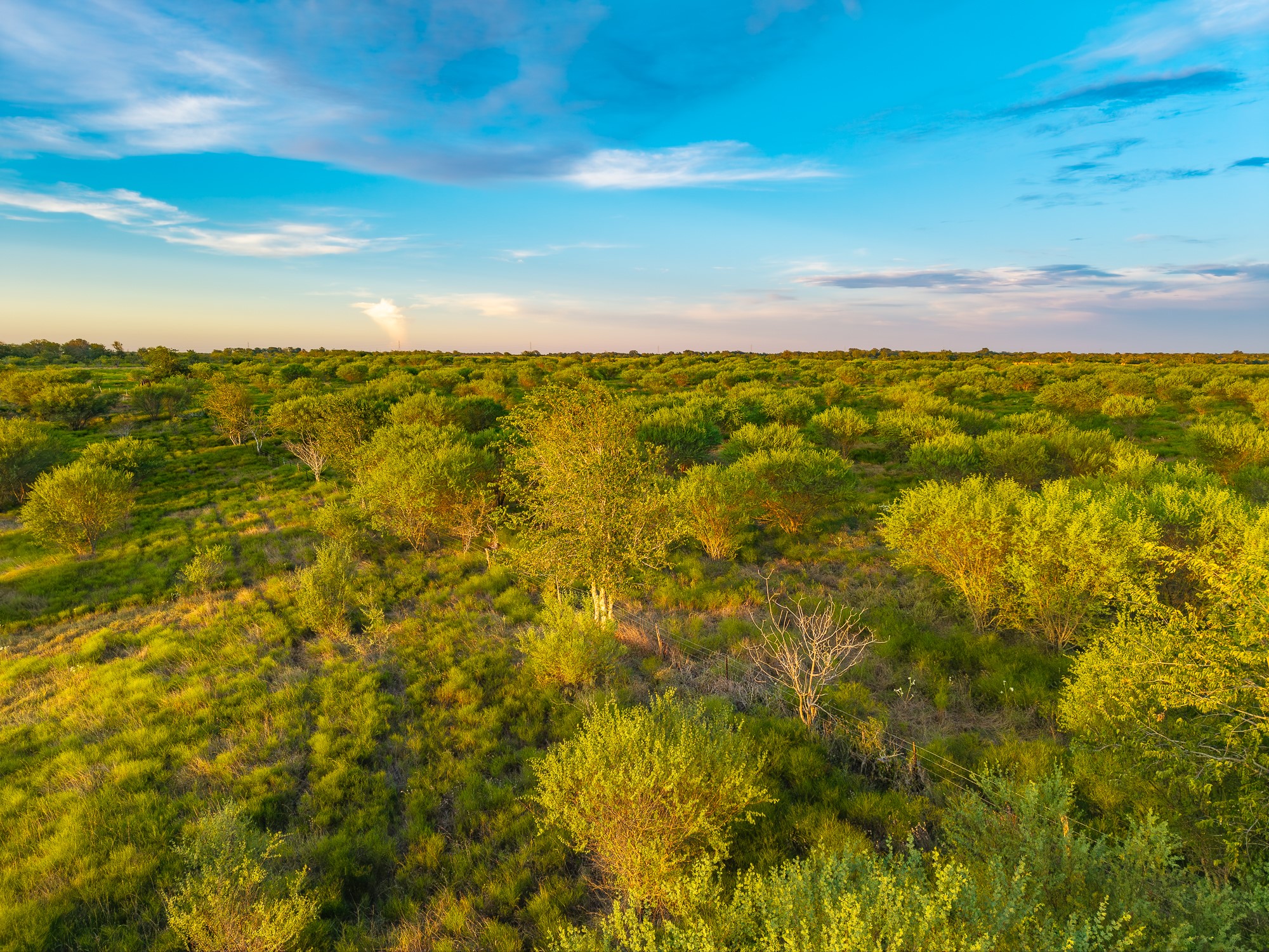 Tbd Guettermann-ehler Road Property Photo 12