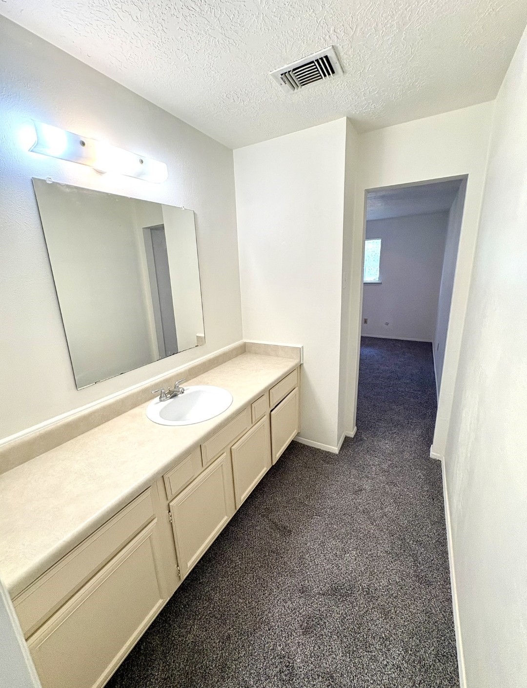 24022 Spring Briar Lane Property Photo 16