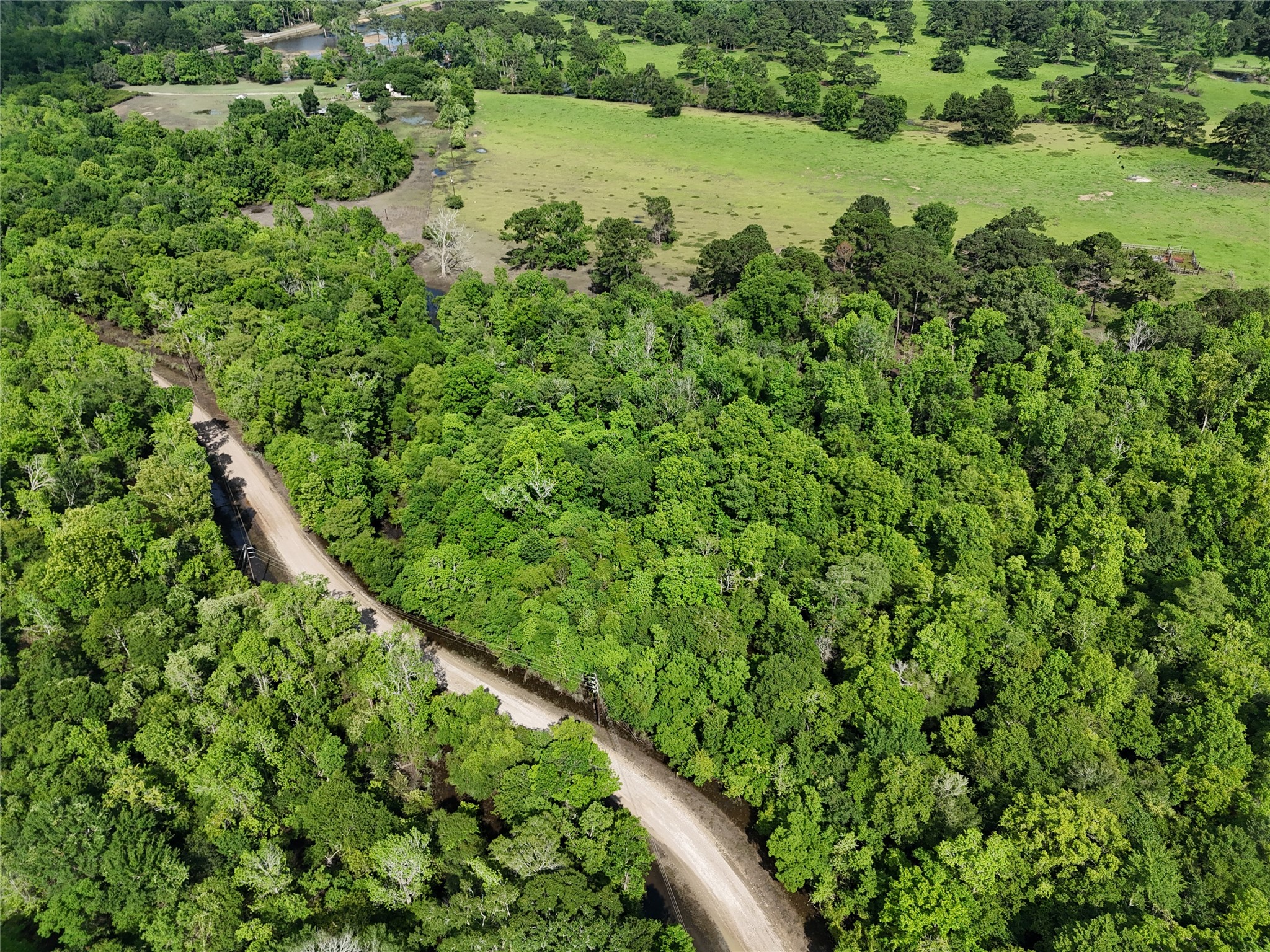 Tbd County Road 149 Property Photo 1