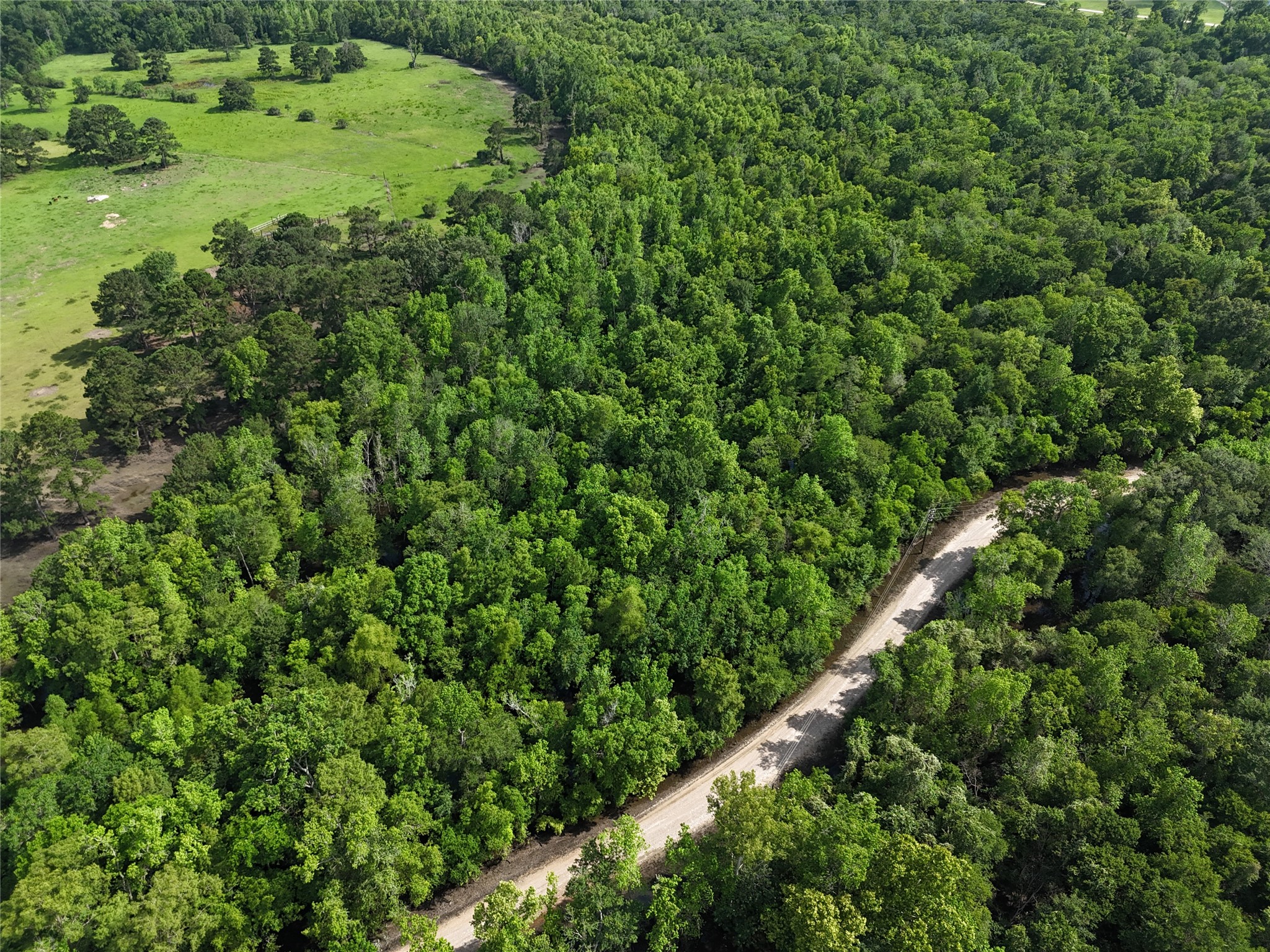 Tbd County Road 149 Property Photo 5