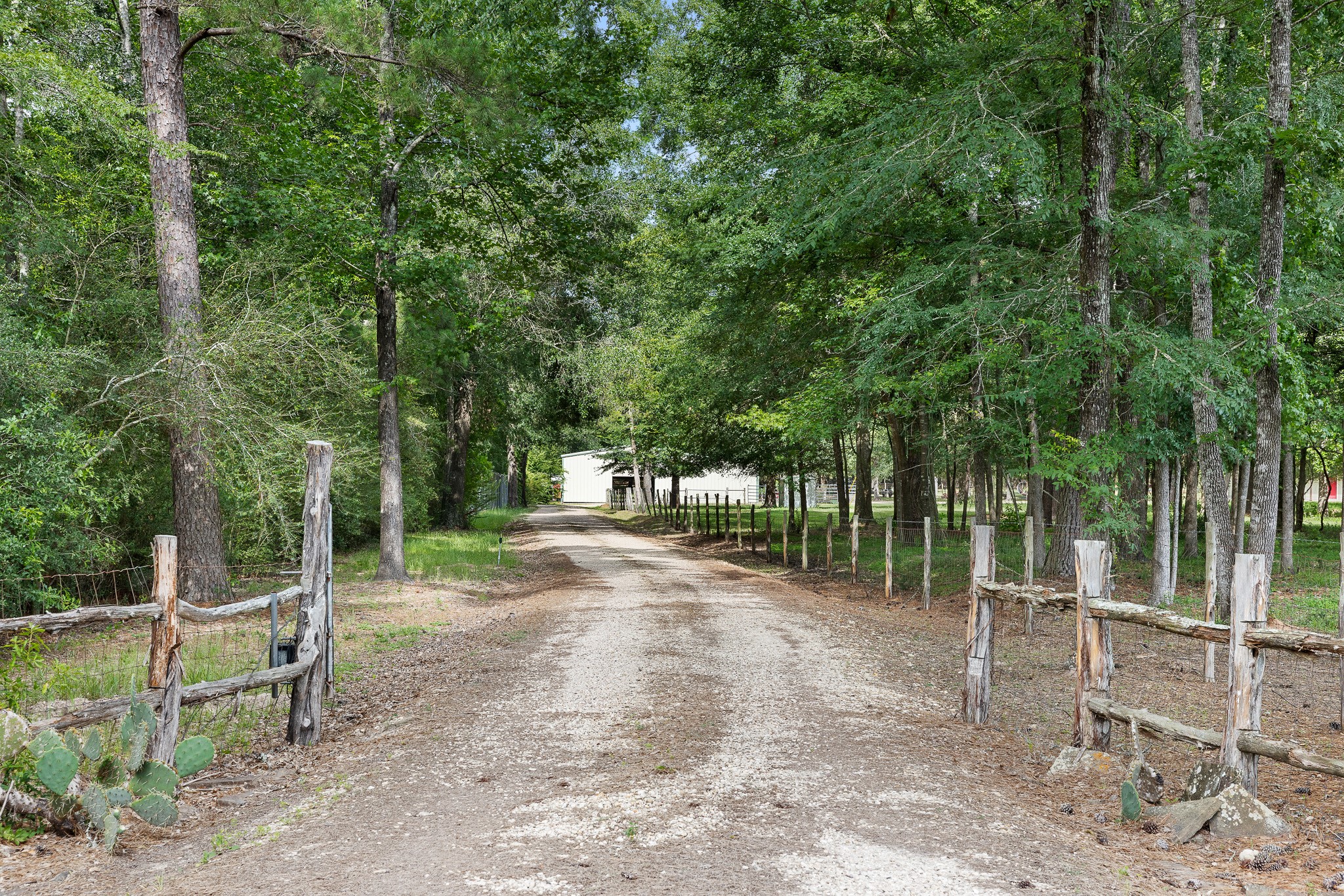4986 Old Wagon Ln Property Photo 32