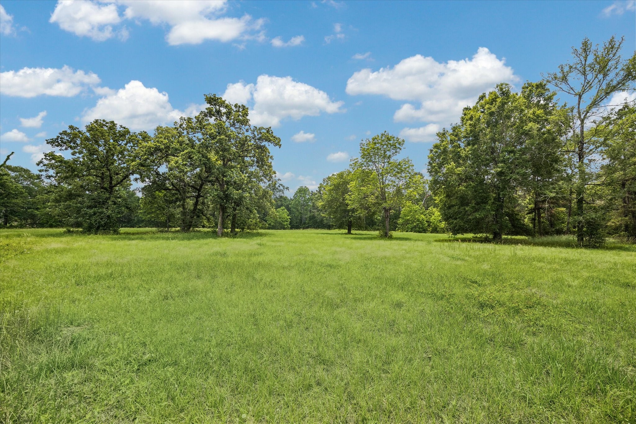 11051 Superior Lane Property Photo 5