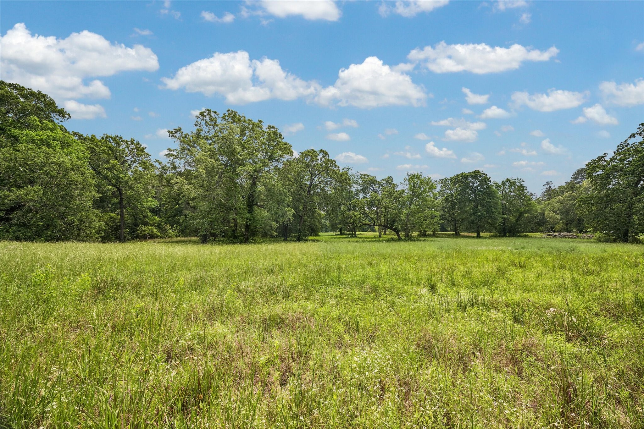 11051 Superior Lane Property Photo 12