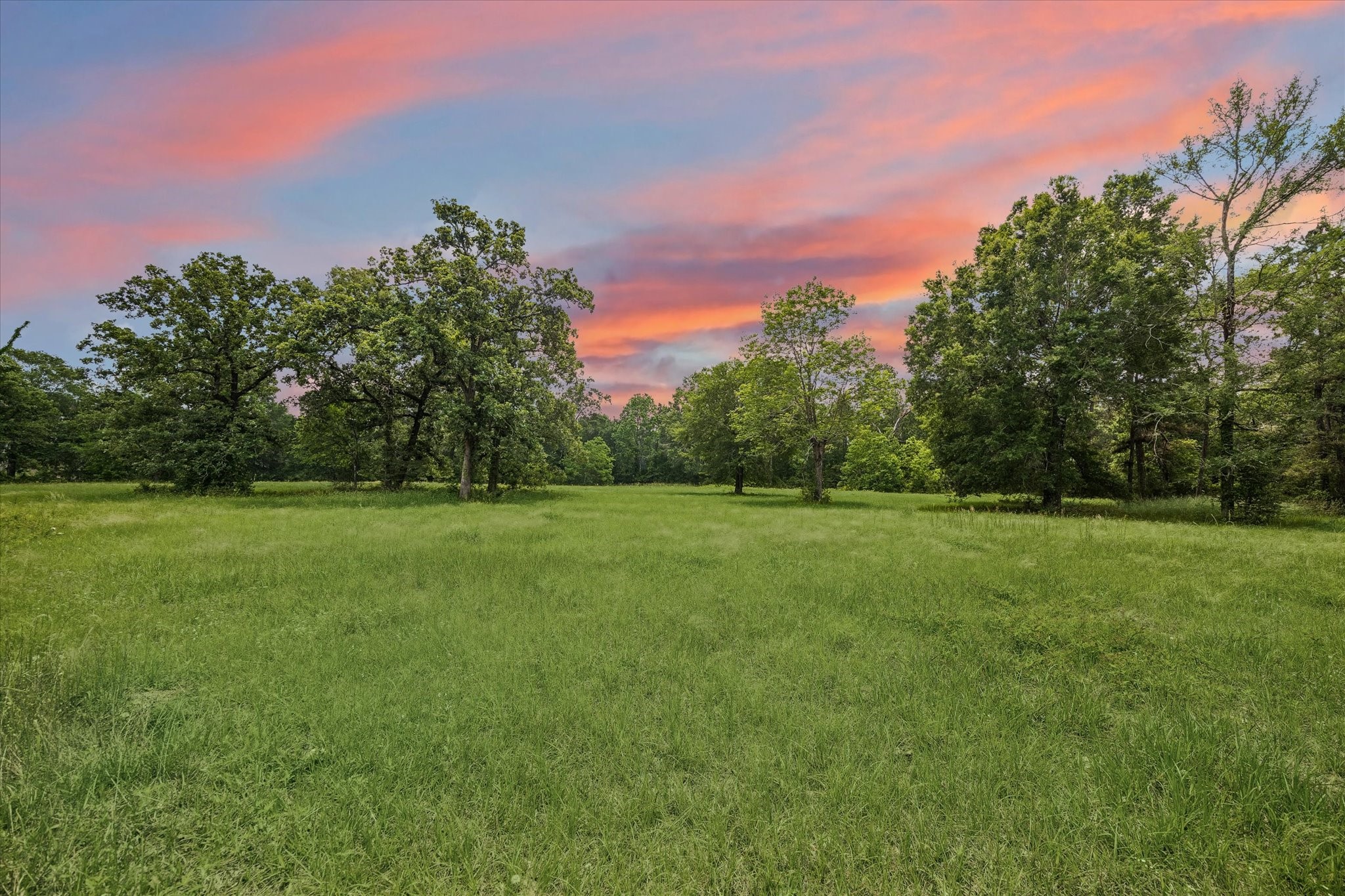 11051 Superior Lane Property Photo 14