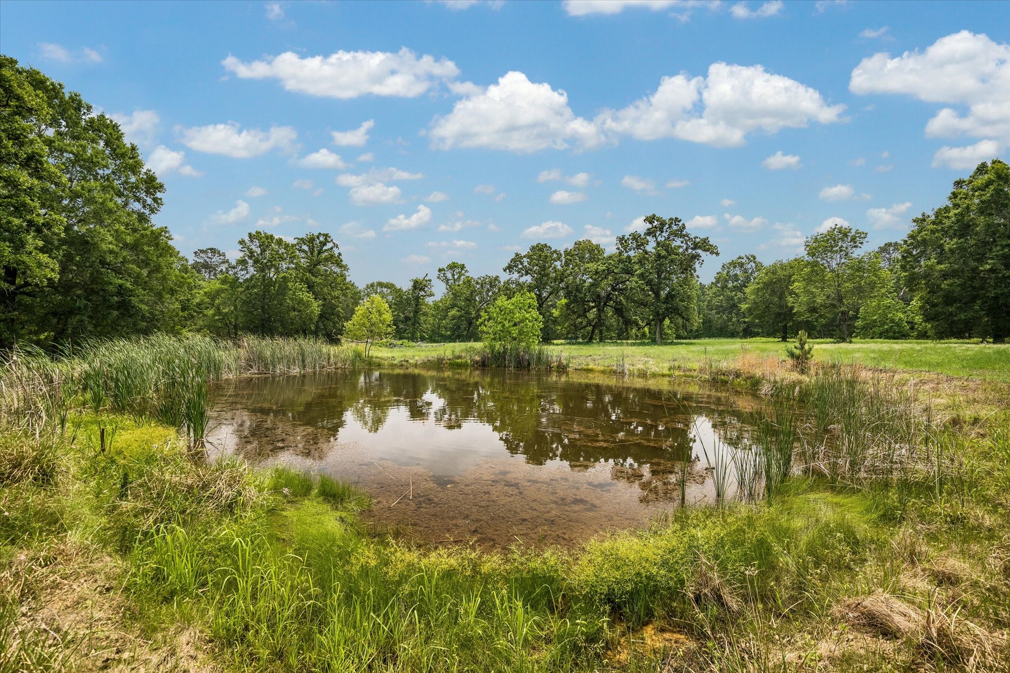 11051 Superior Lane Property Photo 15