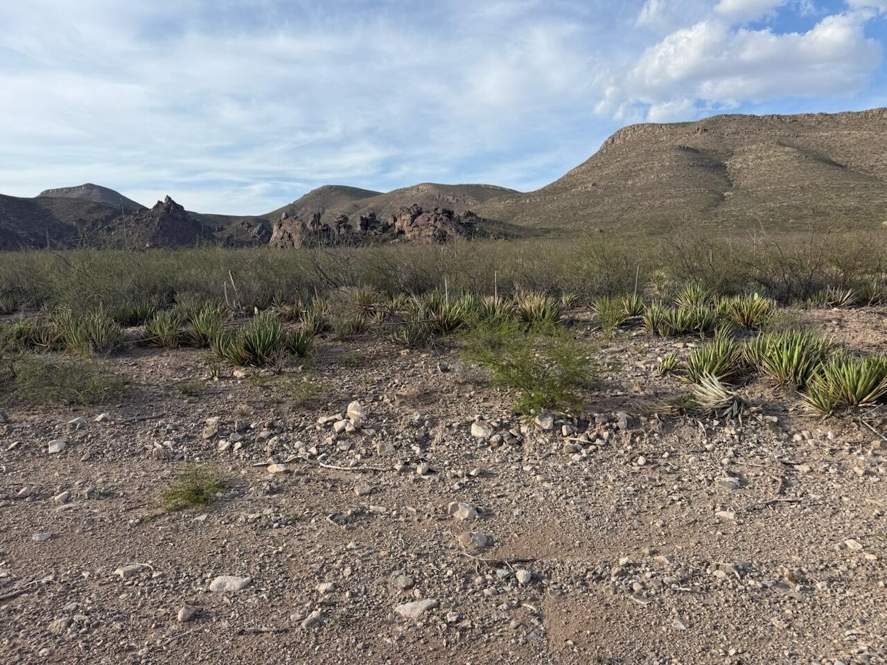 18500 Carinha Avenue Property Photo 1