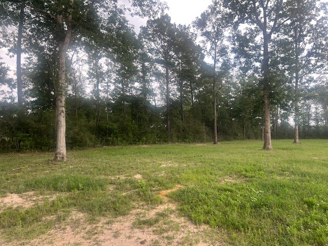 0 E Capps Rd Property Photo 12