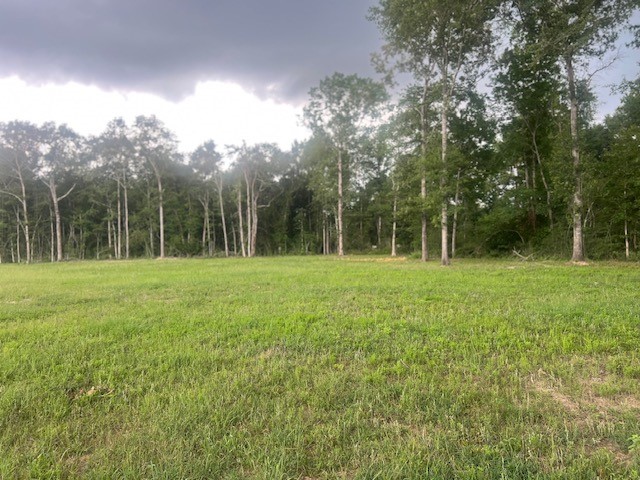 0 E Capps Rd Property Photo 18