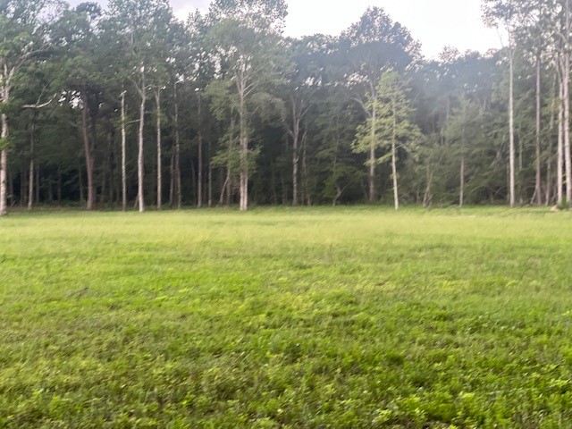 0 E Capps Rd Property Photo 22