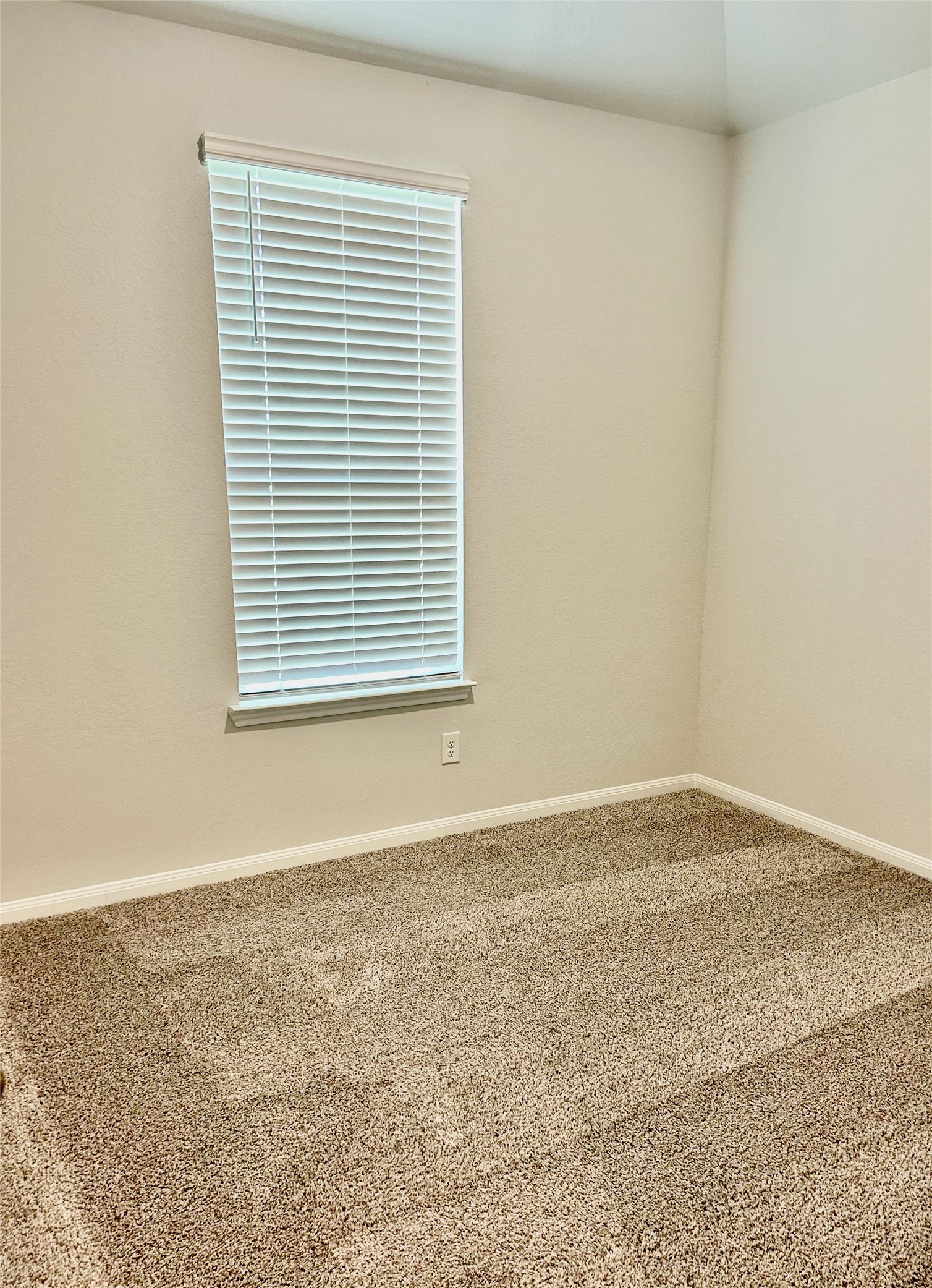 509 Turtle Dove Drive Property Photo 12