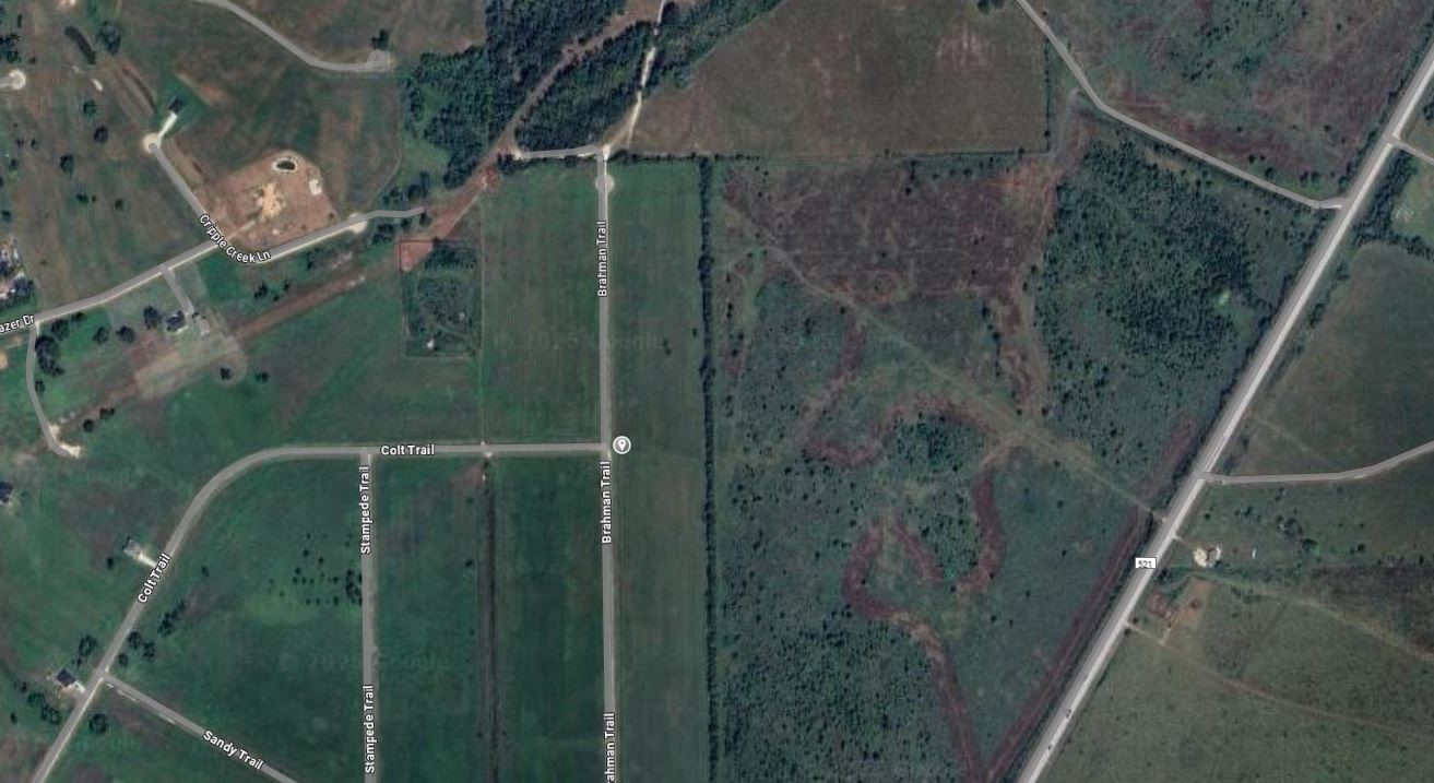 000000 Brahman Trail Property Photo 6