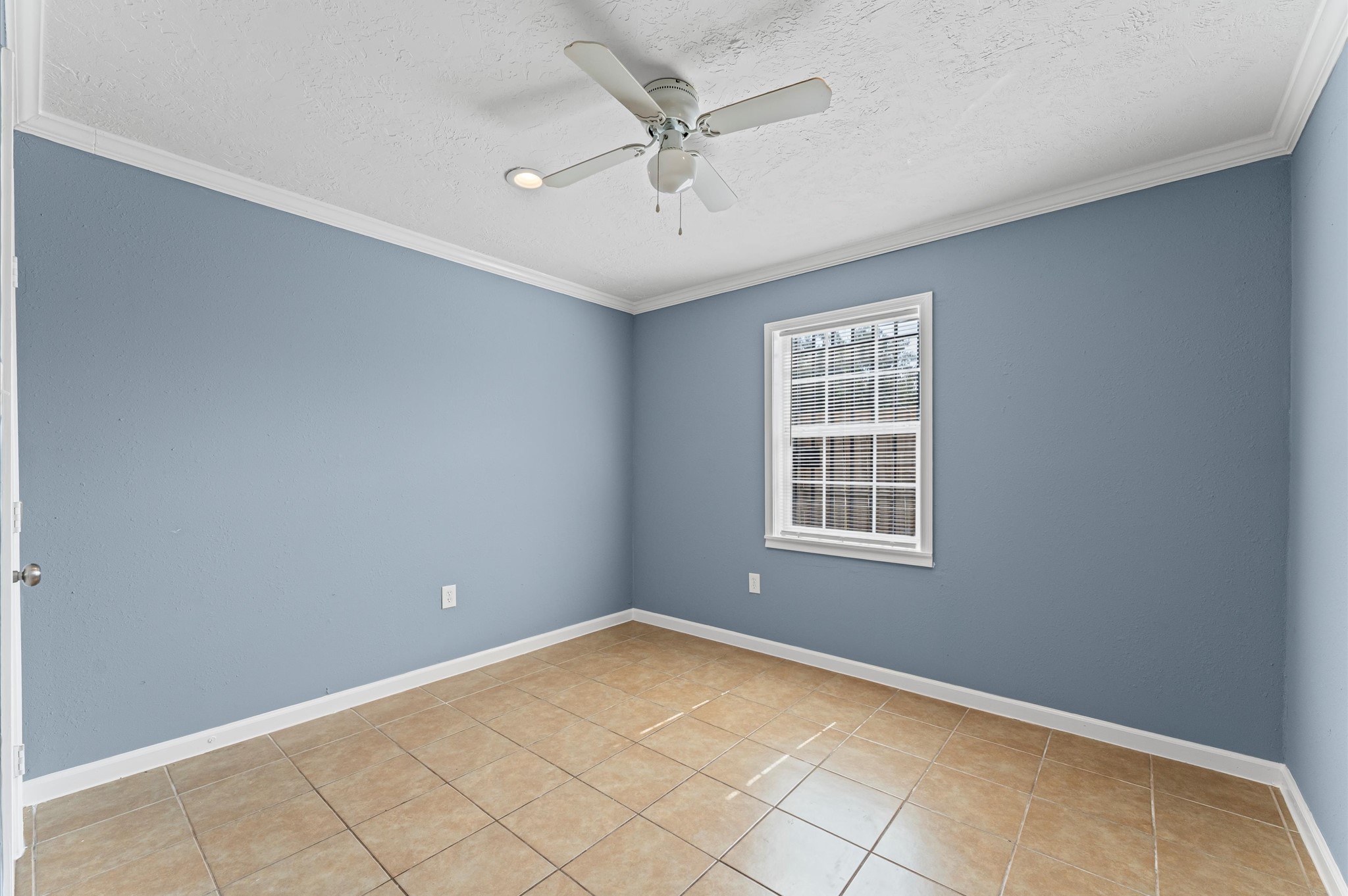 5035 Andrea Street Property Photo 19