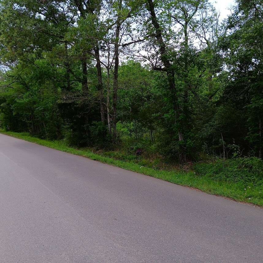 823 County Road 401 Property Photo 2