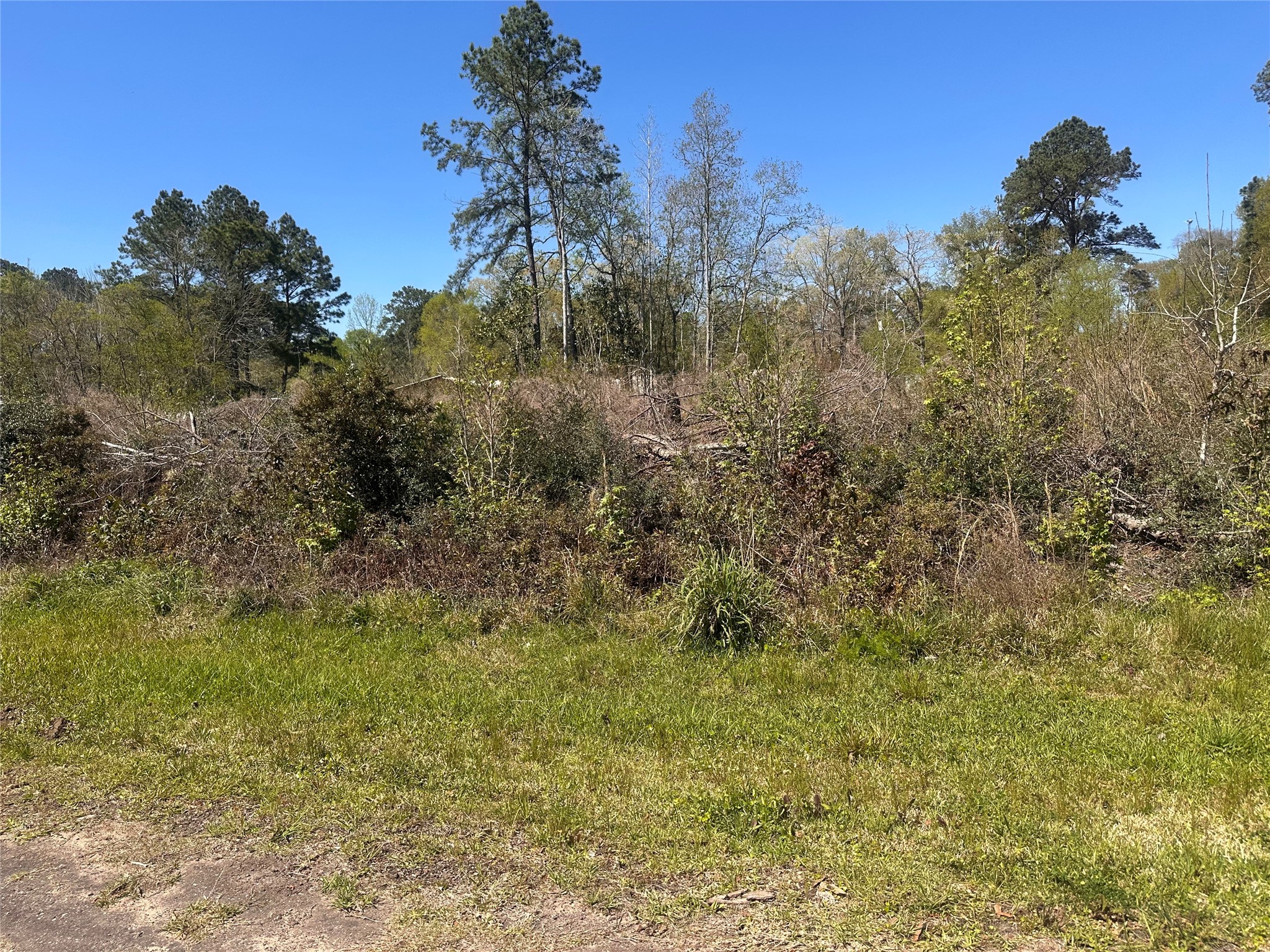 0 Dottie Lane Property Photo 1