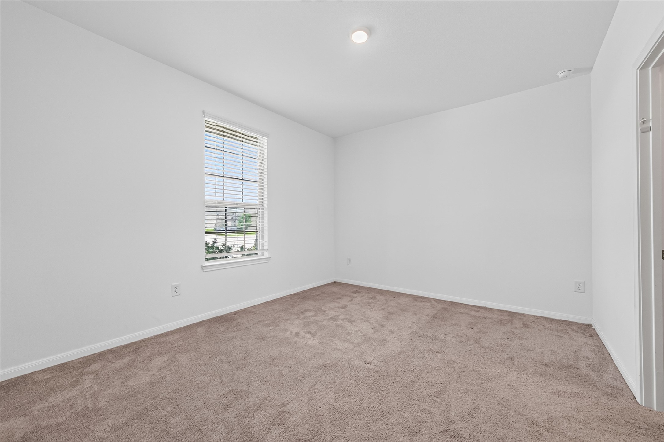 8111 Star Terrace Drive Property Photo 19