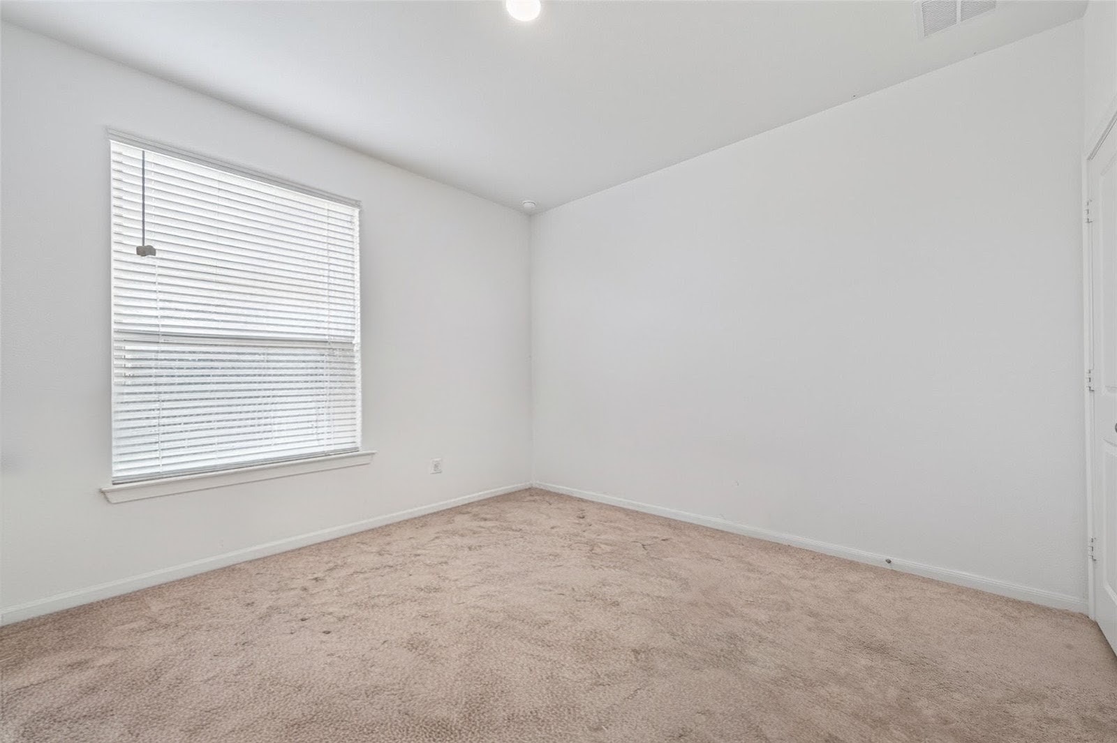 8111 Star Terrace Drive Property Photo 28