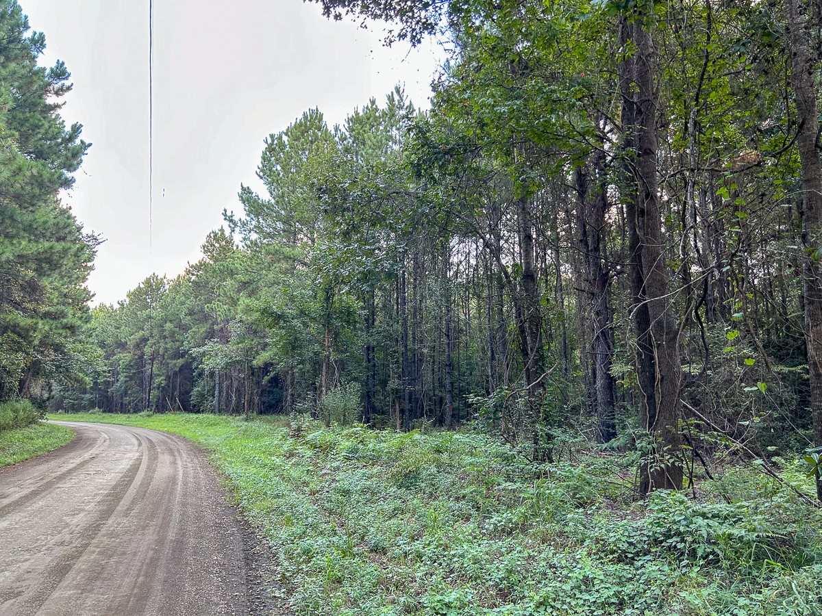 Tbd Cr 4700 Property Photo 1