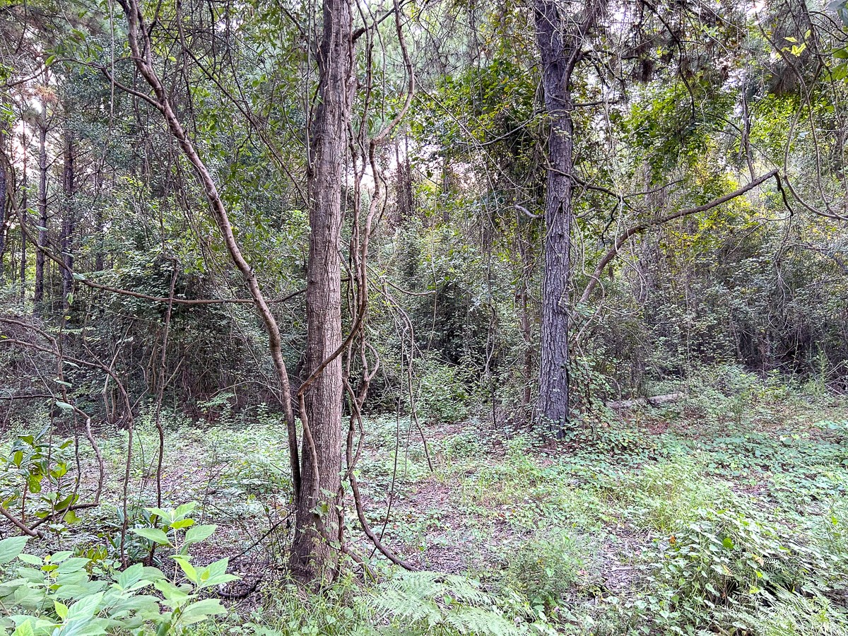 Tbd Cr 4700 Property Photo 2