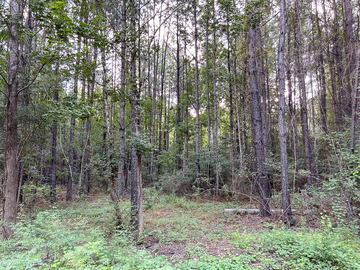 Tbd Cr 4700 Property Photo 4