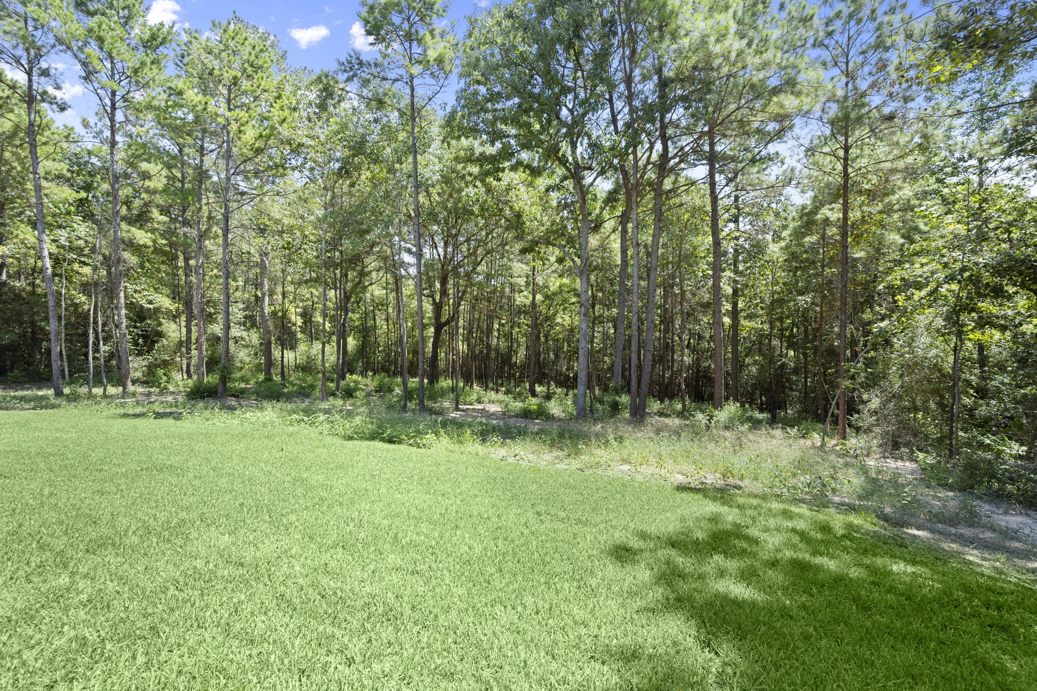 130 Sanctuary Road Property Photo 6