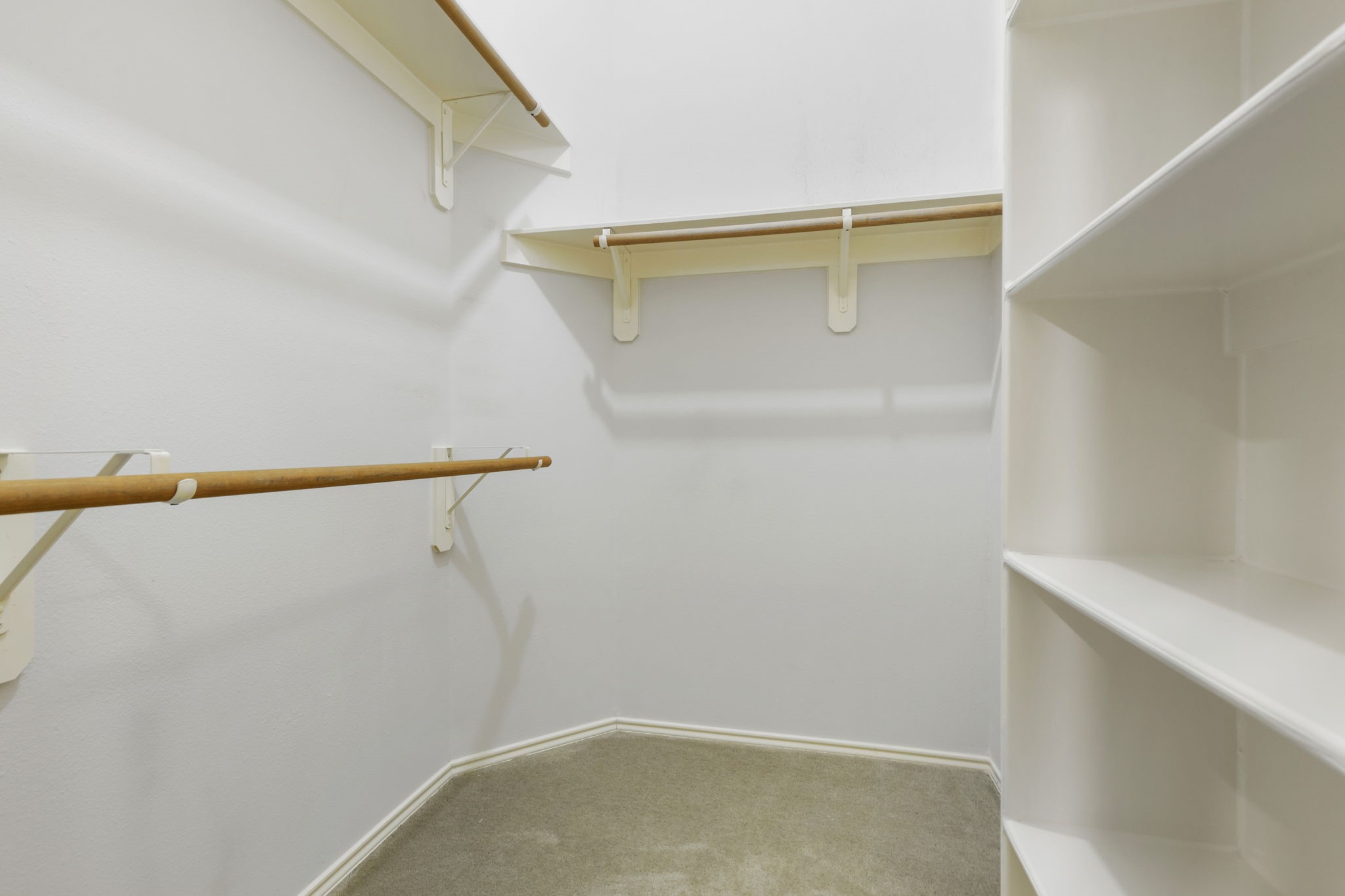 3410 Cactus Creek Drive Property Photo 28