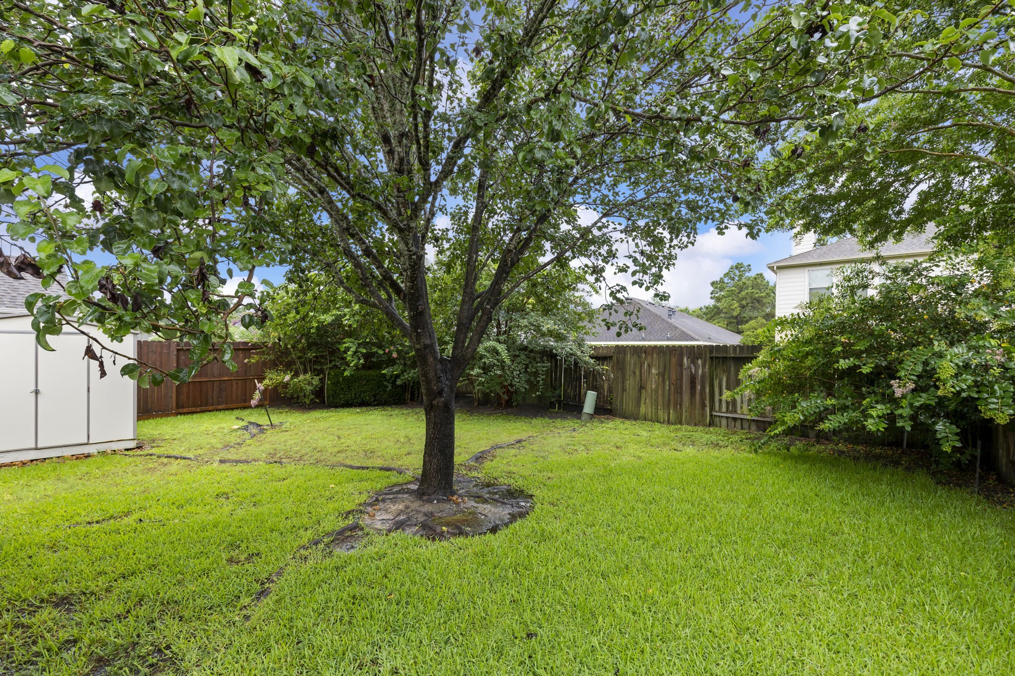3410 Cactus Creek Drive Property Photo 32