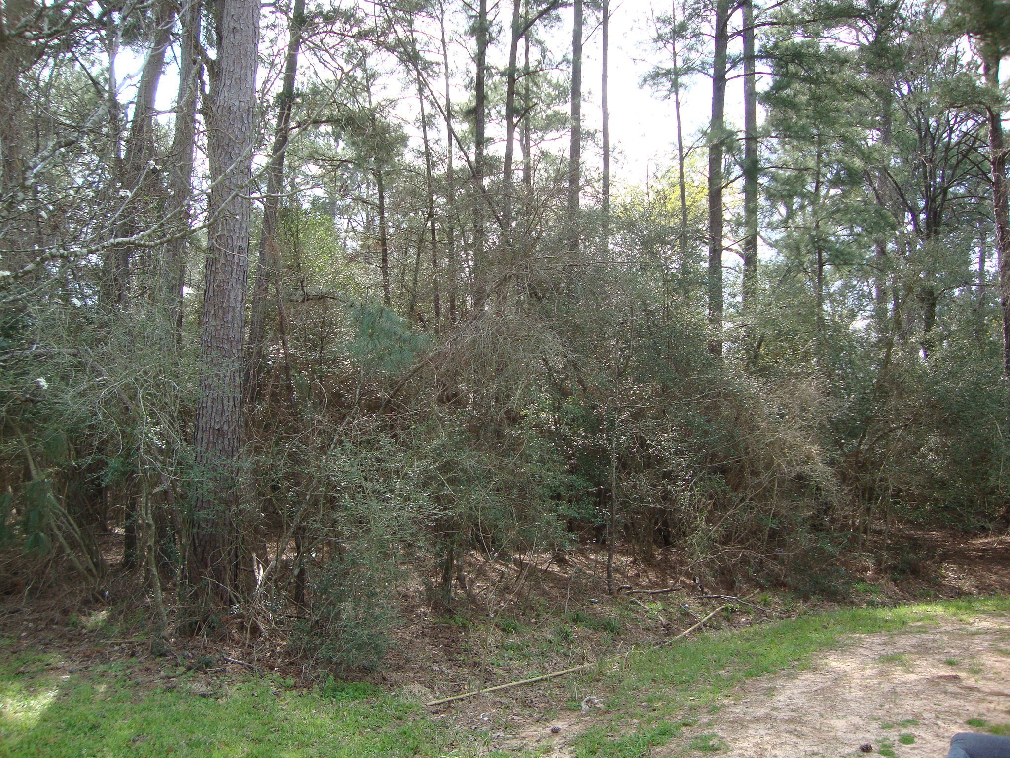 00 Weisinger Drive Property Photo 3