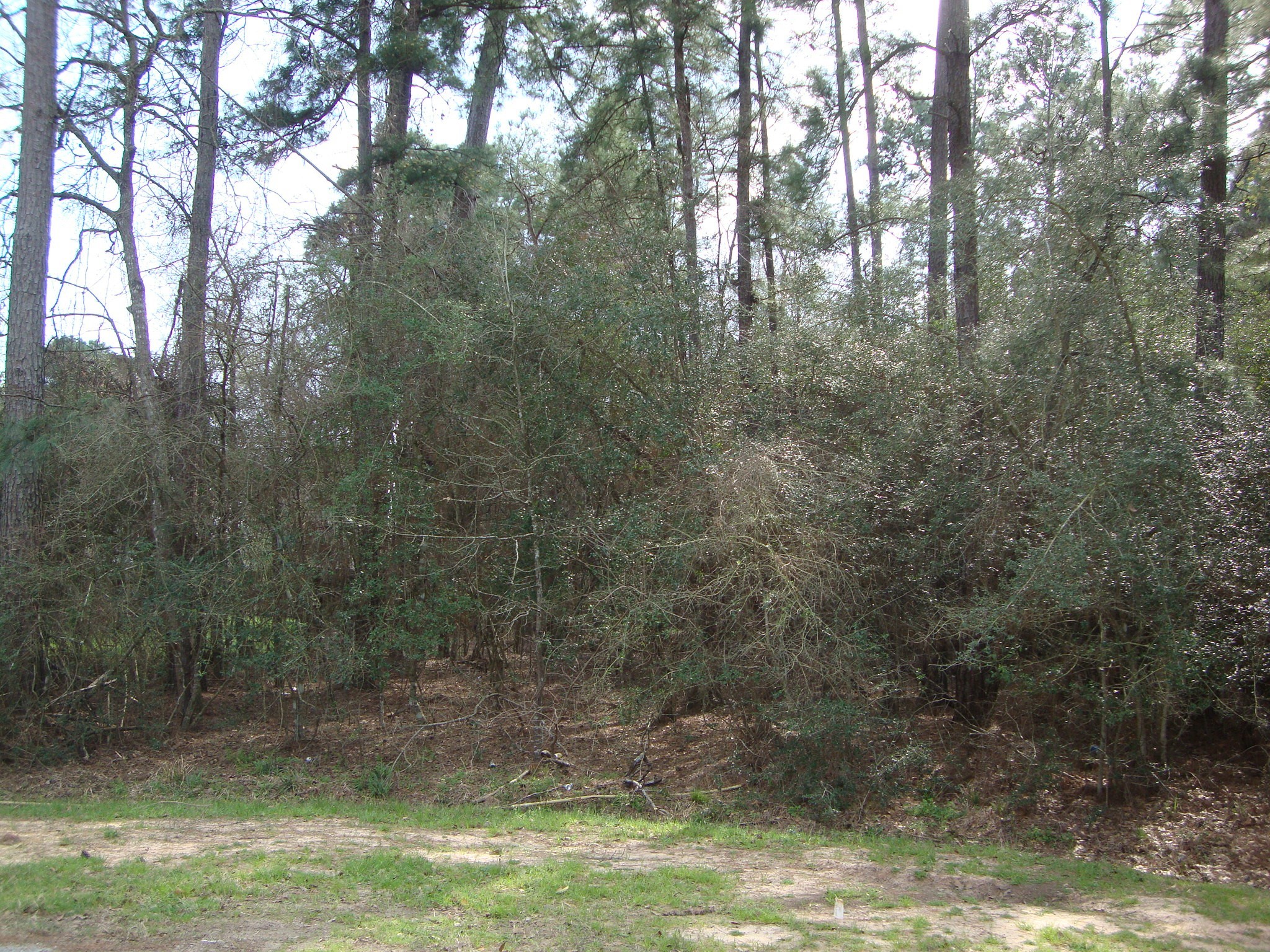 00 Weisinger Drive Property Photo 5