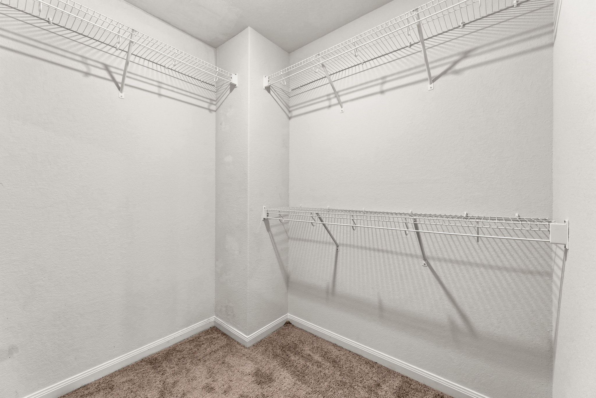 11670 El Rubi Drive Property Photo 24