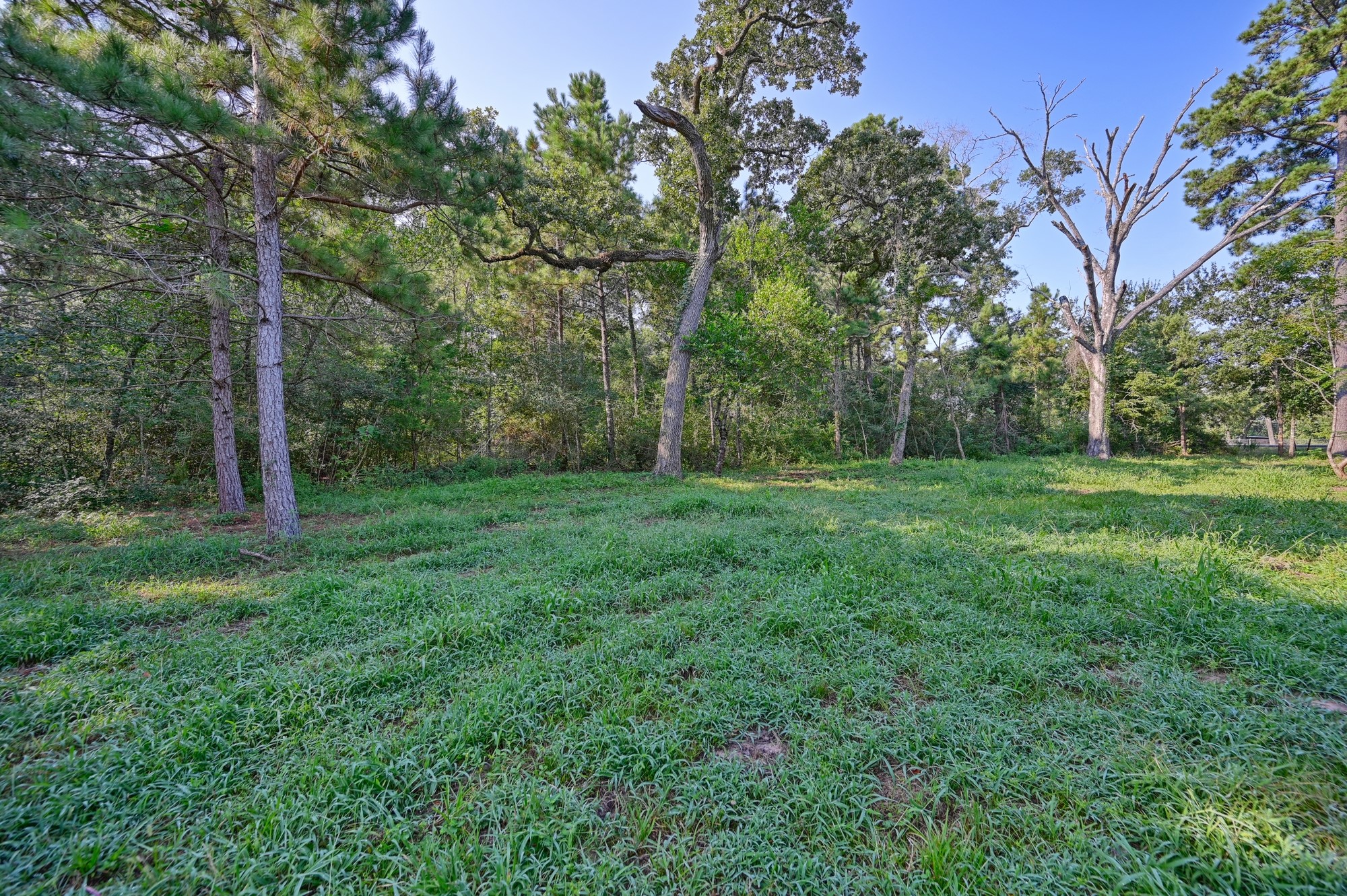 22272 Fm 359 Road Property Photo 18