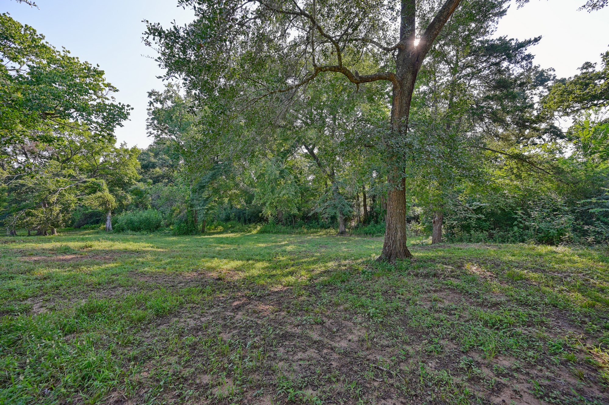 22272 Fm 359 Road Property Photo 19