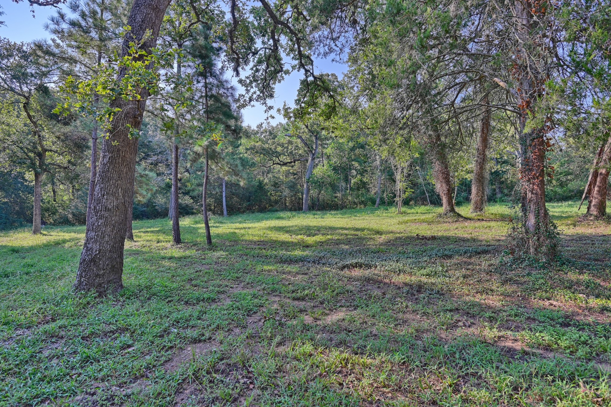 22272 Fm 359 Road Property Photo 20