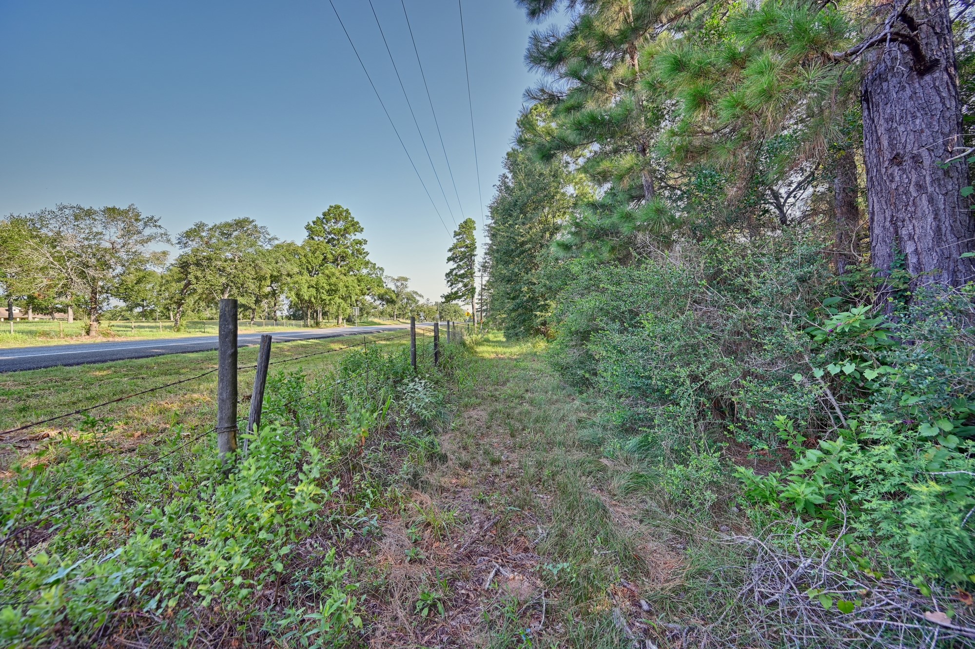 22272 Fm 359 Road Property Photo 21