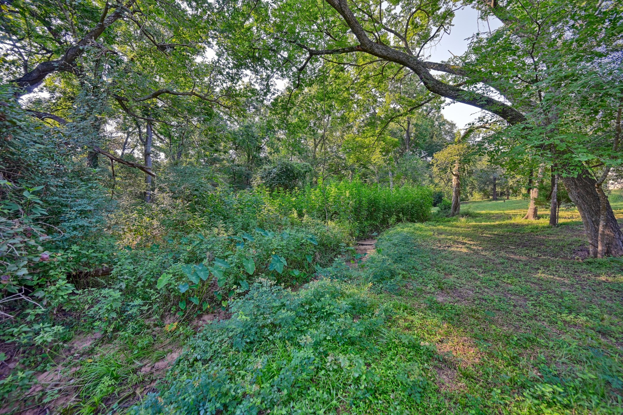 22272 Fm 359 Road Property Photo 26