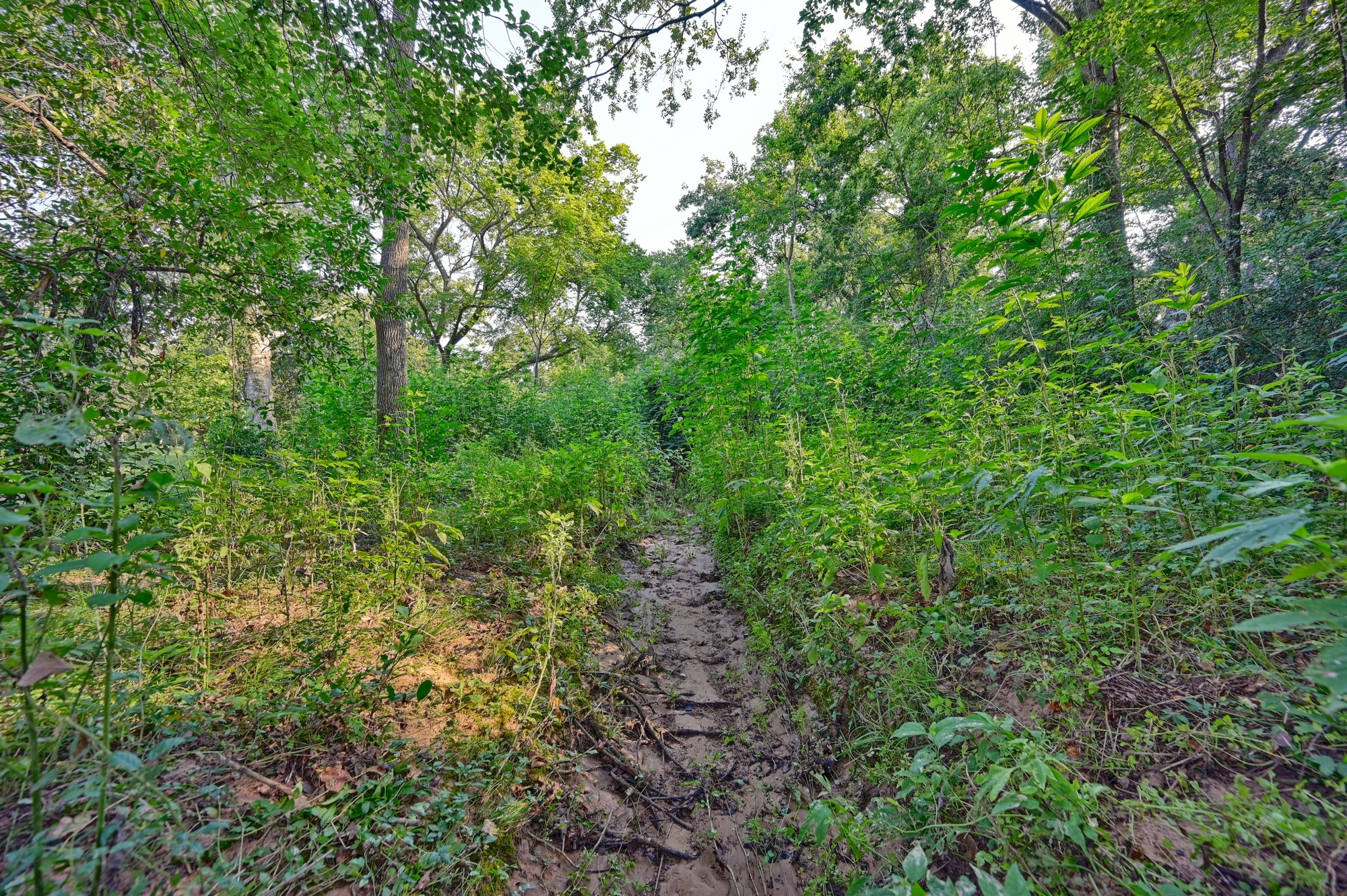 22272 Fm 359 Road Property Photo 27