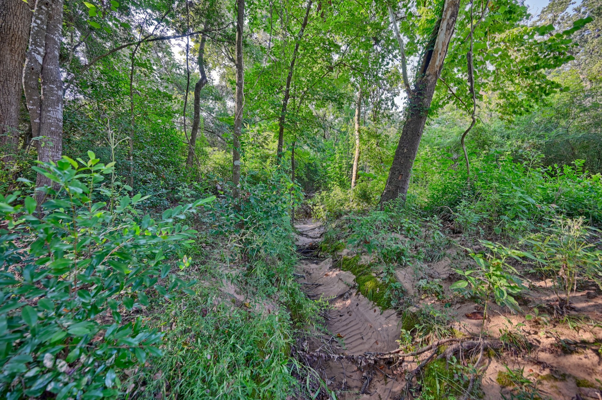 22272 Fm 359 Road Property Photo 28