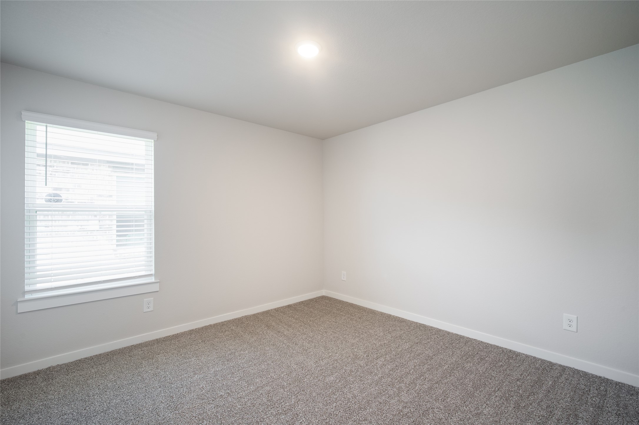 29710 Wilkerson Lane Property Photo 10