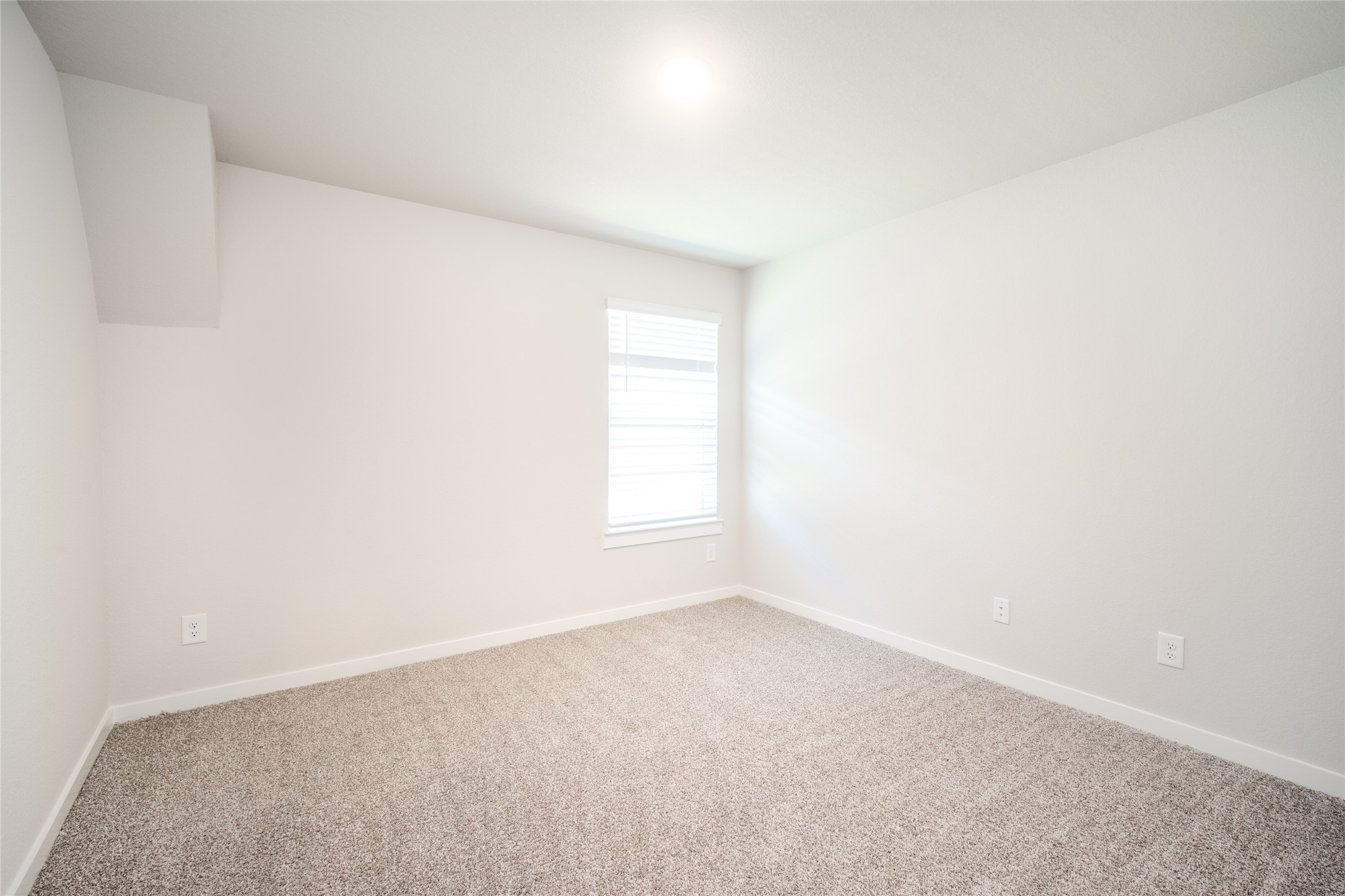 29710 Wilkerson Lane Property Photo 13
